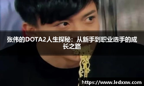 张伟的DOTA2人生探秘：从新手到职业选手的成长之路